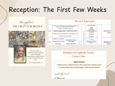 Reception: The First Few Weeks — preview 1
