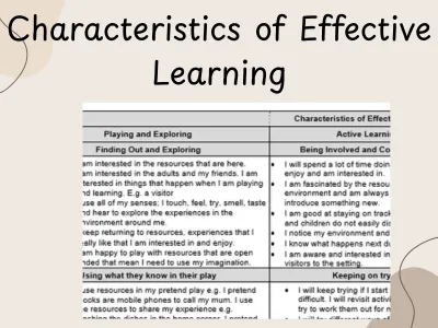 EYFS Characteristics of Effective Learning - I Can Statements — preview 1