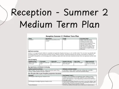 Reception Summer 2 Medium Term Plan — preview 1